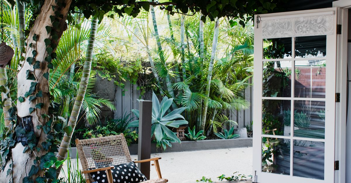 Future-Proofing Byron Bay Hospitality: Trends and Challenges
