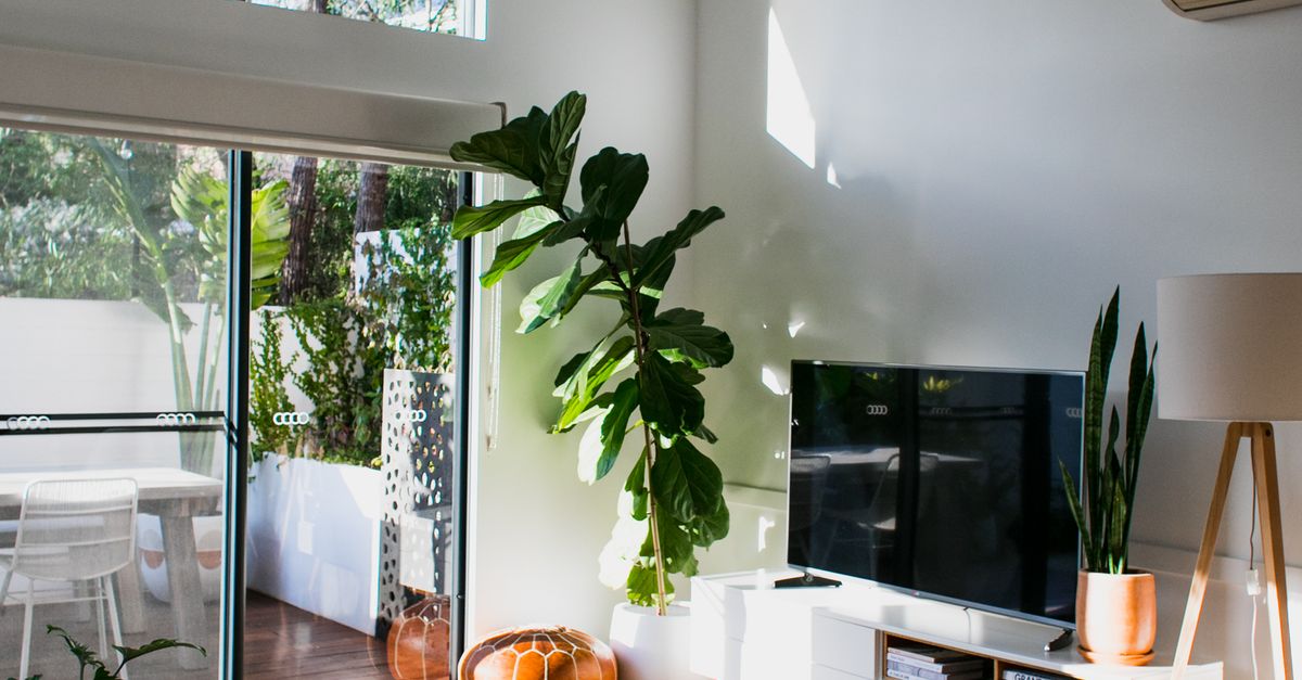 Maximising Natural Light in Byron Bay Homes