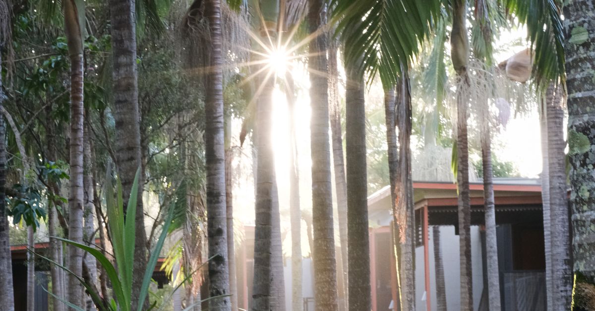 The Role of Sustainability in Byron Bay Office Building Projects